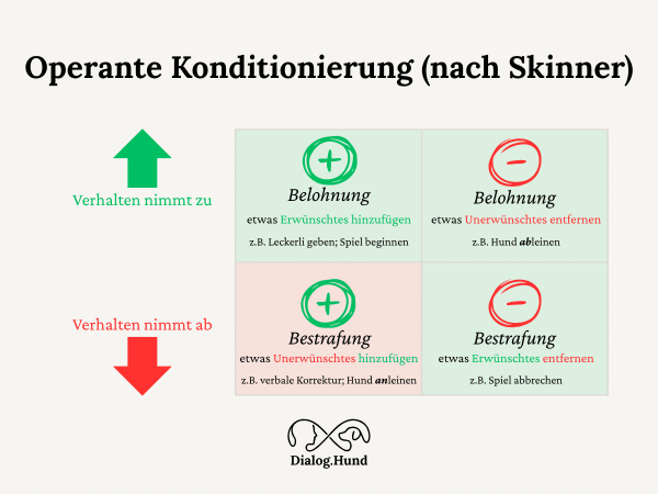 Infografik: operante Konditionierung (nach Skinner), Konditionierung, instrumentelle Konditionierung, Positive Belohnung, positive Bestrafung, positive Strafe